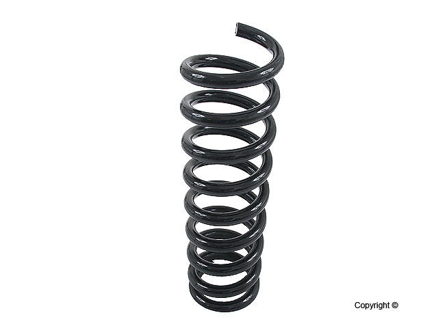 Lesjofors Coil Spring