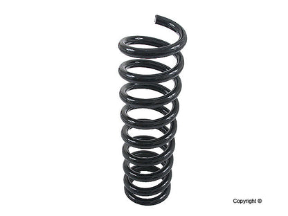 Lesjofors Coil Spring