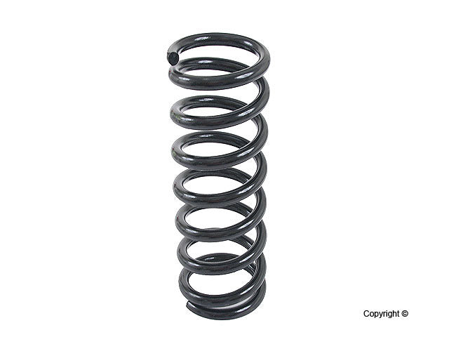 Lesjofors Coil Spring 4256815
