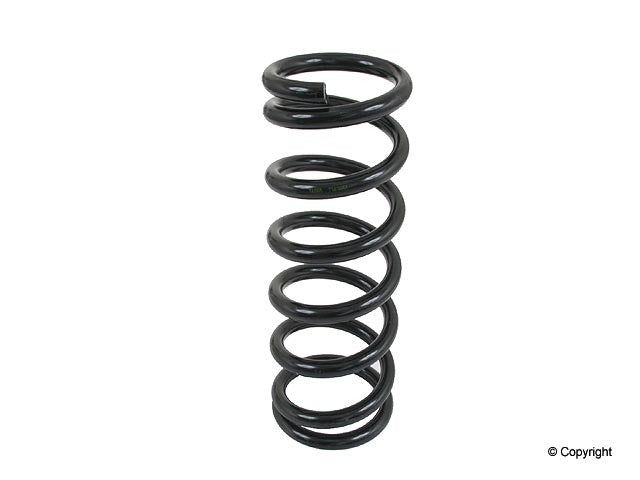 Lesjofors Coil Spring