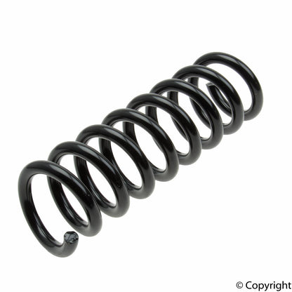 Lesjofors Coil Spring