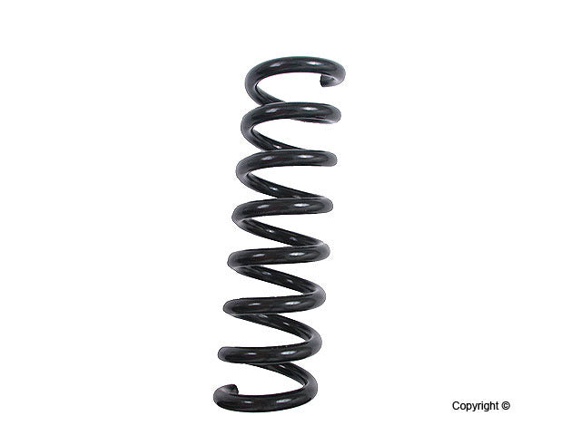 Lesjofors Coil Spring 4256833