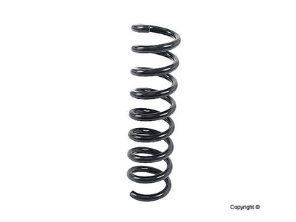 Lesjofors Coil Spring 4256849