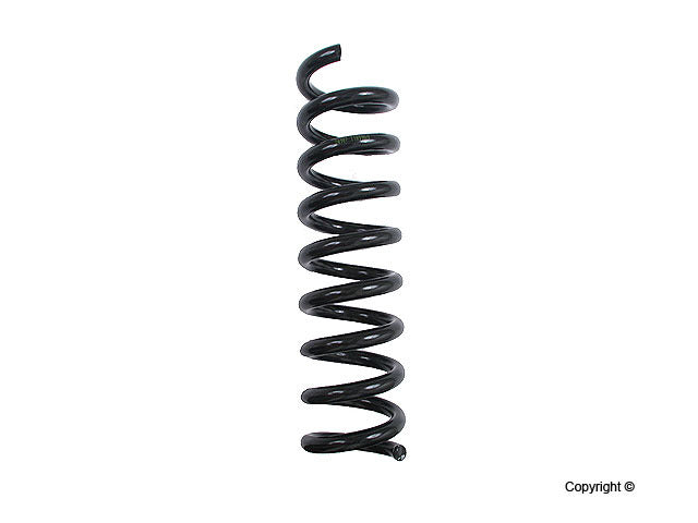 Lesjofors Coil Spring 4256850