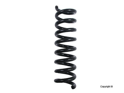 Lesjofors Coil Spring 4256851
