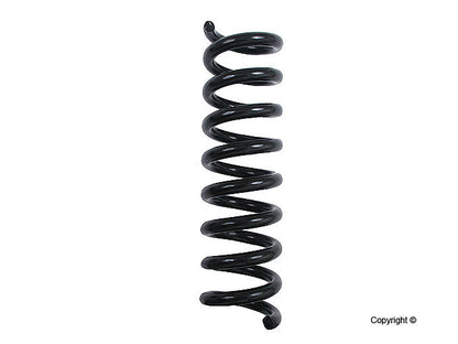 Lesjofors Coil Spring 4256851