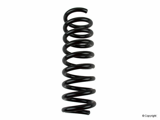 Lesjofors Coil Spring 4256865