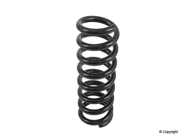 Lesjofors Coil Spring 4256869