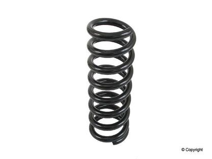 Lesjofors Coil Spring 4256869