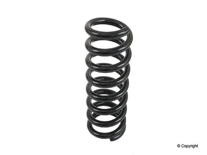 Lesjofors Coil Spring 4256869