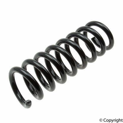Lesjofors Coil Spring 4256871
