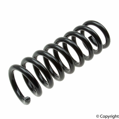 Lesjofors Coil Spring 4256871