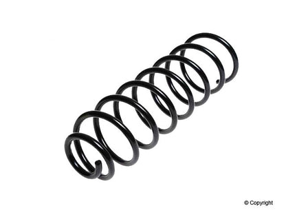 Lesjofors Coil Spring 4277812