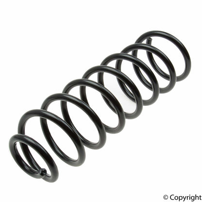 Lesjofors Coil Spring 4277815