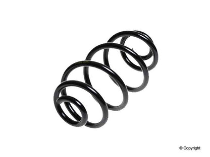 Lesjofors Coil Spring 4277817