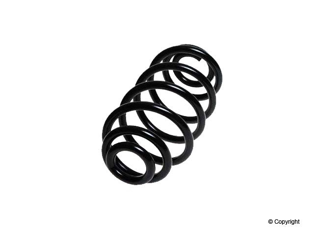 Lesjofors Coil Spring 4277823