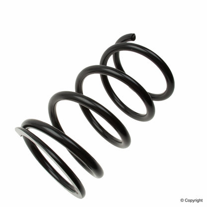 Lesjofors Coil Spring