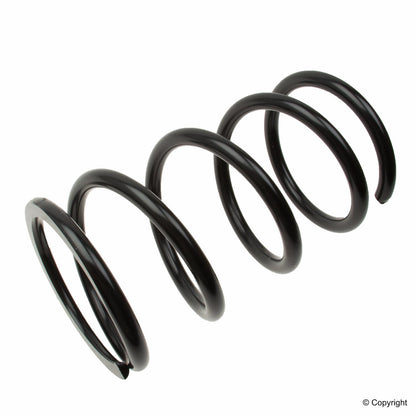Lesjofors Coil Spring 4292614