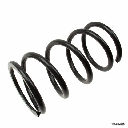 Lesjofors Coil Spring 4292614