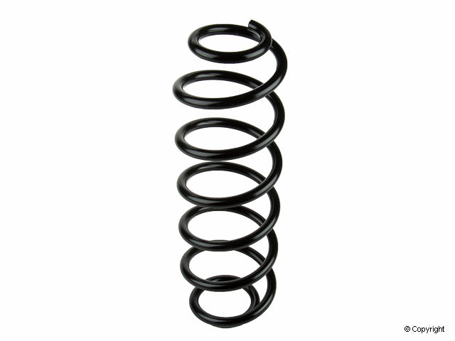 Lesjofors Coil Spring 4295034