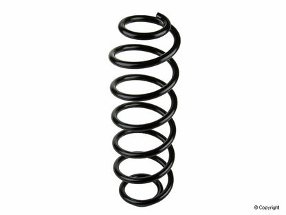 Lesjofors Coil Spring 4295034
