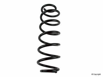 Lesjofors Coil Spring