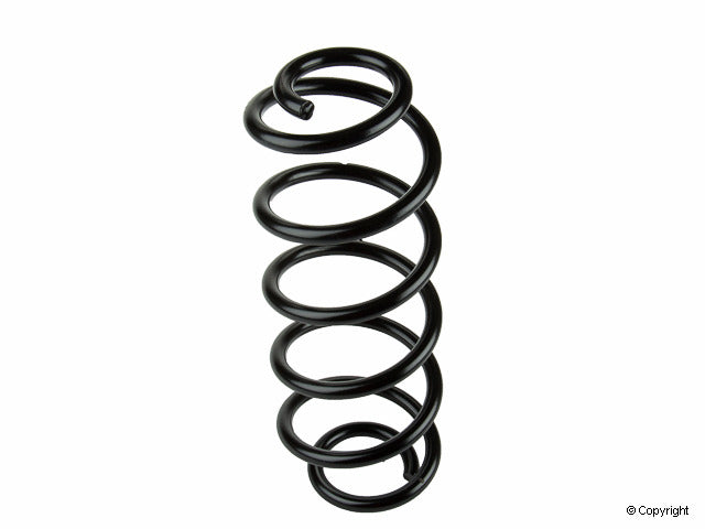 Lesjofors Coil Spring 4295044