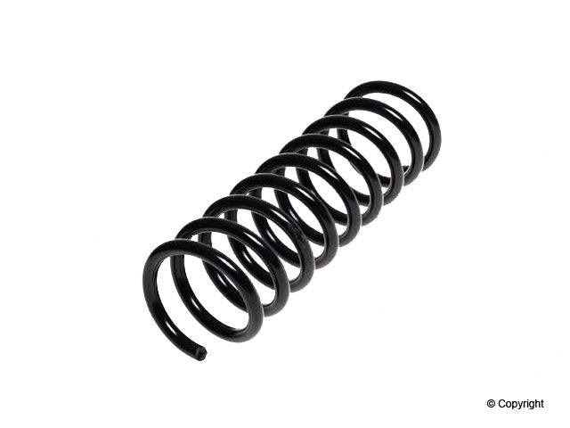 Lesjofors Coil Spring 4295841