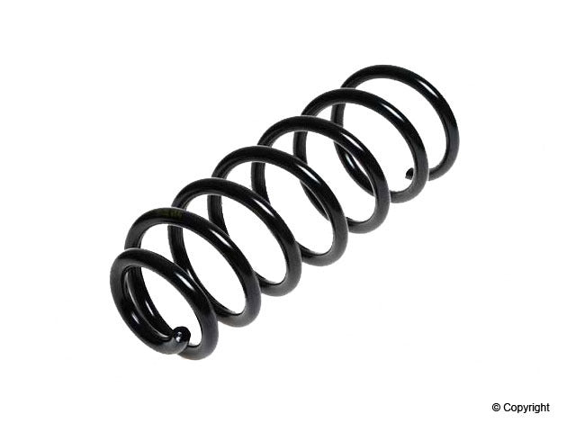 Lesjofors Coil Spring 4295842