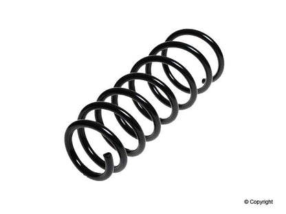 Lesjofors Coil Spring 4295843