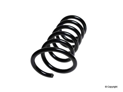 Lesjofors Coil Spring 4295849
