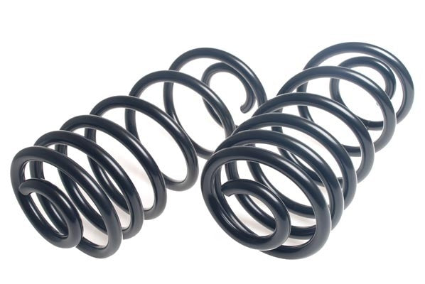 Lesjofors Coil Spring Set 4412138