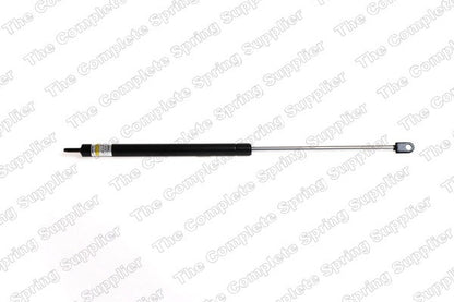Lesjofors Hood Lift Support