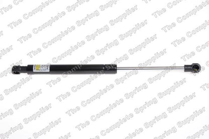 Lesjofors Hood Lift Support