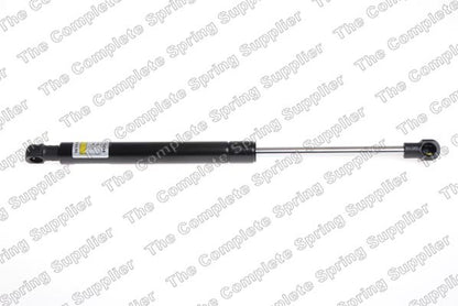 Lesjofors Hood Lift Support