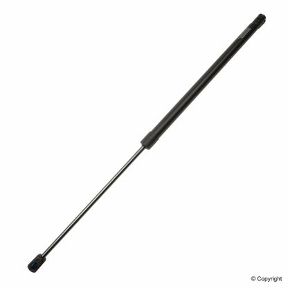 Lesjofors Hood Lift Support