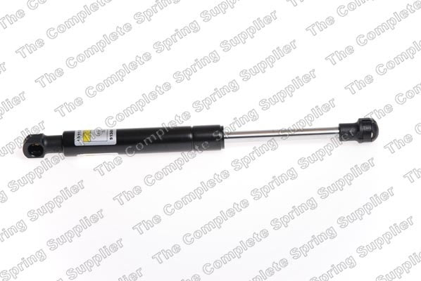 Lesjofors Hood Lift Support
