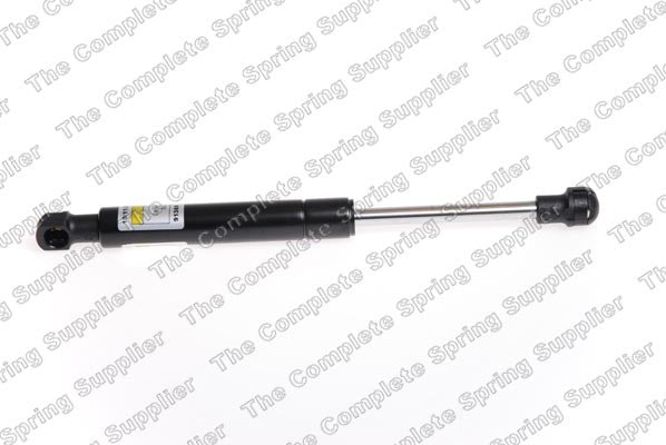 Lesjofors Hood Lift Support