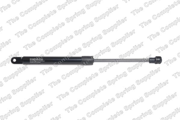 Lesjofors Hood Lift Support