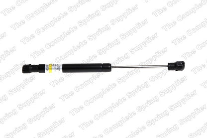 Lesjofors Hood Lift Support