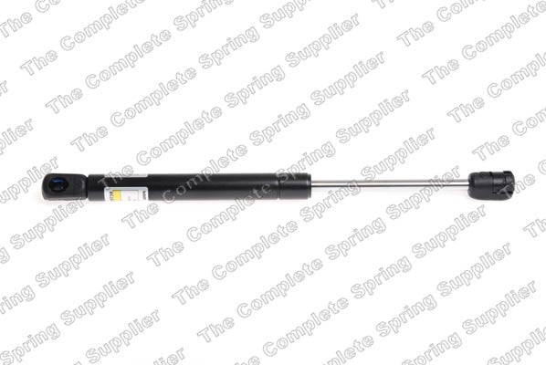 Lesjofors Hood Lift Support