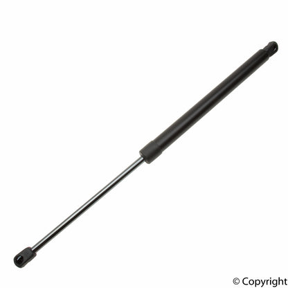 Lesjofors Hatch Lift Support