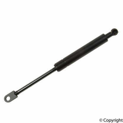 Lesjofors Hatch Lift Support