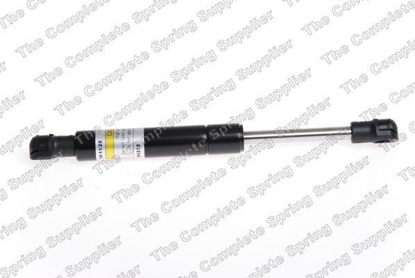 Lesjofors Hood Lift Support