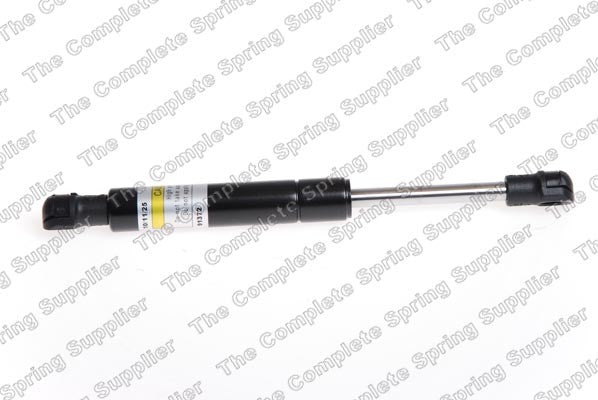 Lesjofors Hood Lift Support