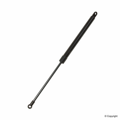 Lesjofors Hatch Lift Support