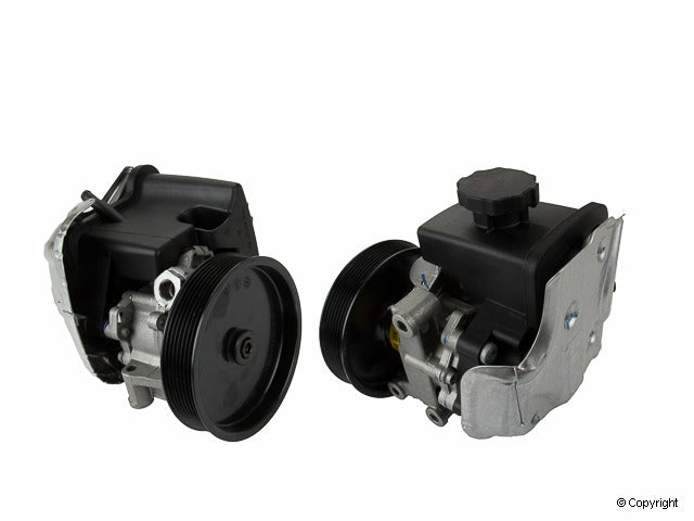 LuK Power Steering Pump