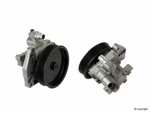 LuK Power Steering Pump