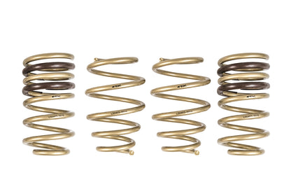 ARK 2010-2015 Chevrolet Camaro GT-S Lowering Springs (Clearance Item)
