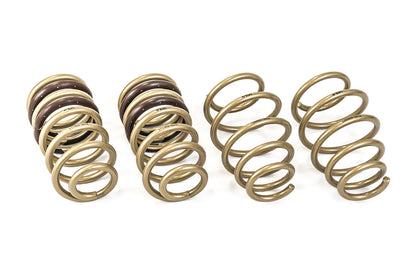 ARK 2010-2015 Chevrolet Camaro GT-S Lowering Springs (Clearance Item)